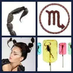 4 Immagini 1 Parola SCORPIONE