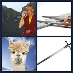 4 Immagini 1 Parola LAMA