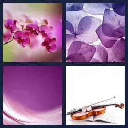 4 Immagini 1 Parola VIOLA