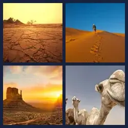 4 Immagini 1 Parola DESERTO
