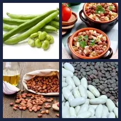 4 immagini 1 parola livello 240