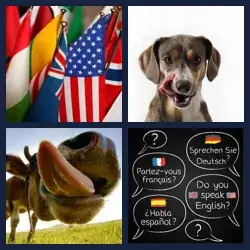 4 immagini 1 parola livello 257