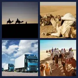 4 immagini 1 parola livello 259