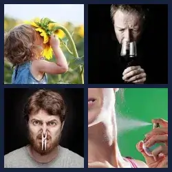 4 immagini 1 parola livello 273