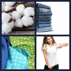 4 immagini 1 parola livello 278