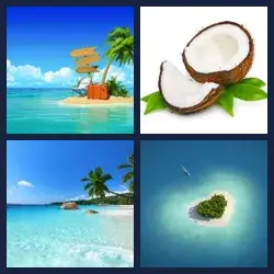 4 immagini 1 parola livello 298