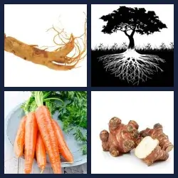 4 immagini 1 parola livello 309