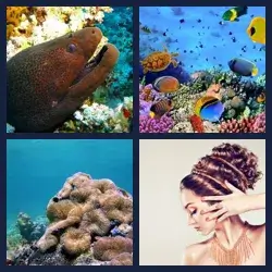 4 immagini 1 parola livello 311