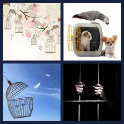 4 immagini 1 parola livello 322