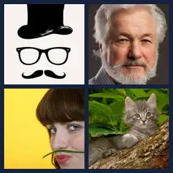 4 immagini 1 parola livello 324