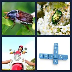 4 immagini 1 parola livello 338