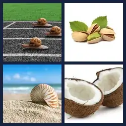 4 immagini 1 parola livello 342