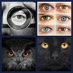 4 immagini 1 parola livello 359