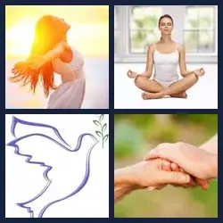 4 immagini 1 parola livello 360