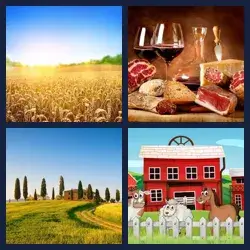 4 immagini 1 parola livello 385