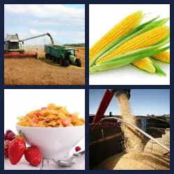 4 immagini 1 parola livello 398