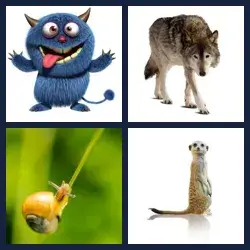 4 immagini 1 parola livello 401