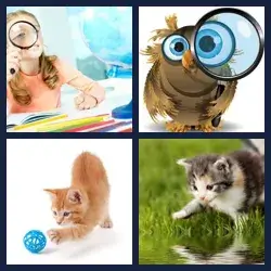 4 immagini 1 parola livello 402