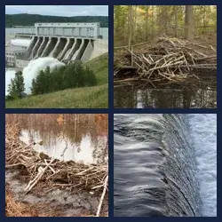 4 immagini 1 parola livello 413