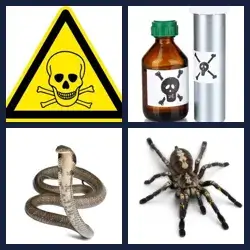 4 immagini 1 parola livello 417