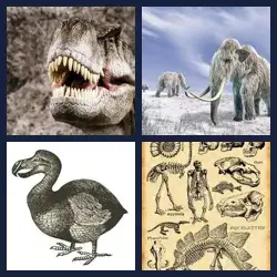 4 immagini 1 parola livello 449