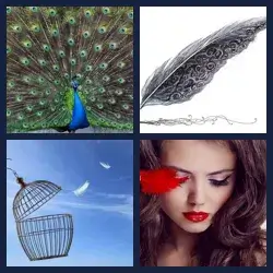 4 immagini 1 parola livello 453