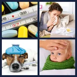 4 immagini 1 parola livello 455