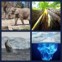 4 immagini 1 parola livello 477