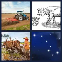 4 immagini 1 parola livello 490