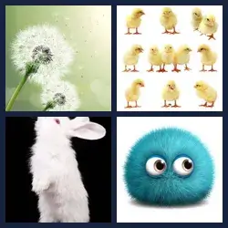 4 immagini 1 parola livello 498