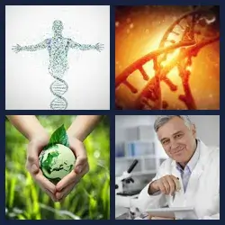 4 immagini 1 parola livello 499