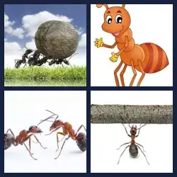 4 immagini 1 parola livello 500