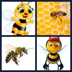 4 immagini 1 parola livello 501