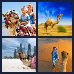 4 immagini 1 parola livello 502