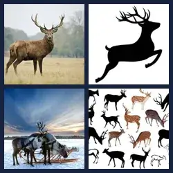 4 immagini 1 parola livello 506