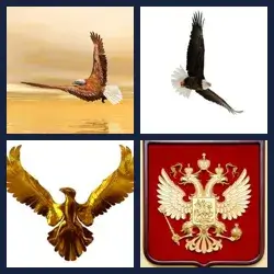 4 immagini 1 parola livello 510