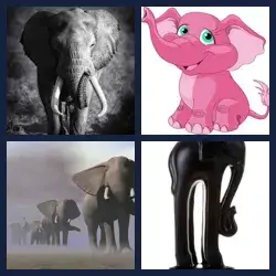 4 immagini 1 parola livello 511