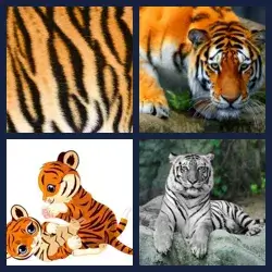 4 immagini 1 parola livello 512