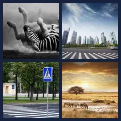 4 immagini 1 parola livello 514