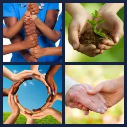 4 immagini 1 parola livello 524