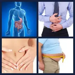 4 immagini 1 parola livello 527