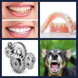 4 immagini 1 parola livello 528