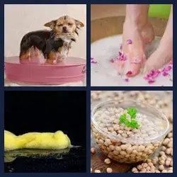 4 immagini 1 parola livello 538