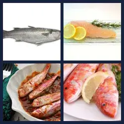 4 immagini 1 parola livello 556