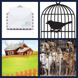 4 immagini 1 parola livello 559