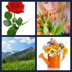 4 immagini 1 parola livello 603