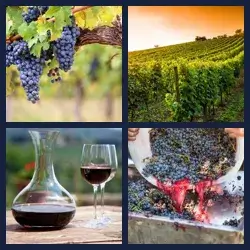 4 immagini 1 parola livello 1018